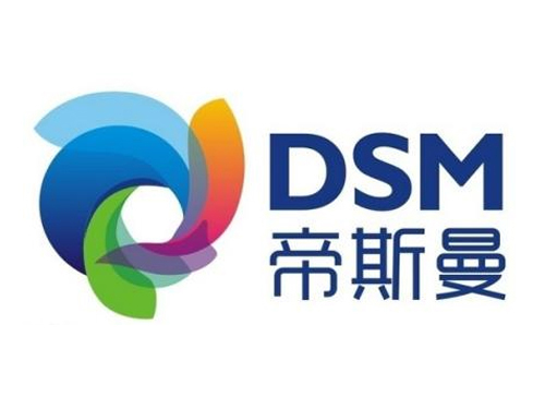 帝斯曼DSM 帝斯曼DSM